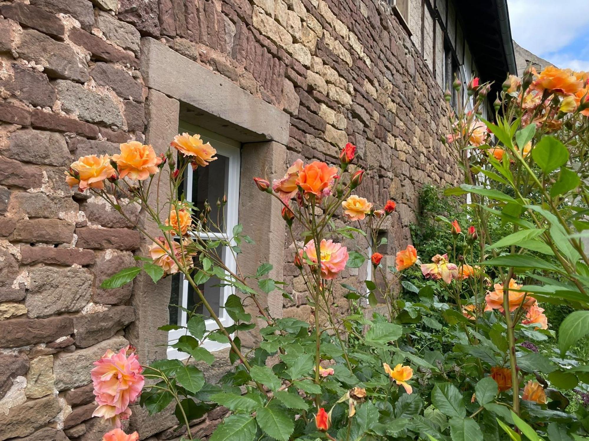 Cherrytree Cottage 1840 Heimbach Kültér fotó